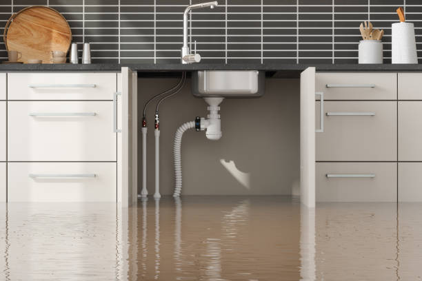 Reliable Estill Springs, TN Water damage restoration Solutions